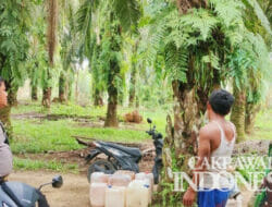 Warga di Desa Suka Maju Rokan Hulu Ketakutan Mendengar Suara Auman Harimau