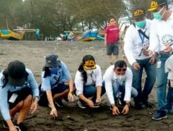 Masyarakat Kulon Progo Lepasliarkan Tukik di Pantai Bugel