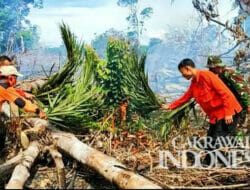Area Lahan Seluas 7,7 Hektare Terbakar di Kabupaten Rokan Hulu, Riau