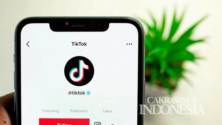 Cara Menghilangkan Watermark TikTok