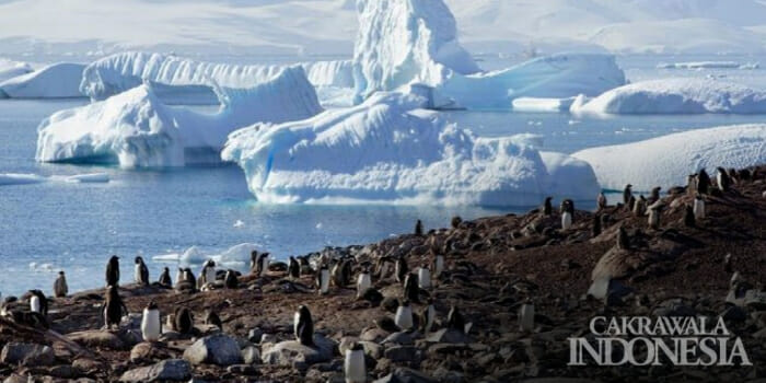 Fakta Menakjubkan Benua Antartika