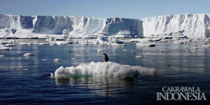 Fakta Menakjubkan Benua Antartika