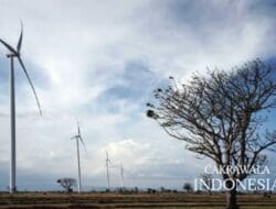 Dukung EBT, PLN Siap Kembangkan Pembangkit Bayu 597 MW Hingga 2030