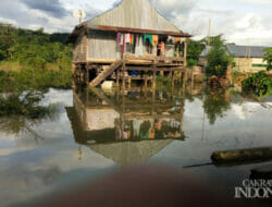 Tanggul Jebol, Satu Desa di Konawe Terendam Banjir