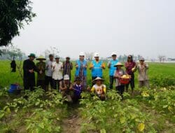 Berkat Program ‘Electrifying Agriculture’ PLN, Keuntungan Petani Naik 200 Persen