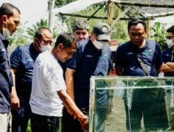 Komisaris PLN Apresiasi Program Budidaya Ikan Wader di Yogyakarta Binaan PLN bersama UGM