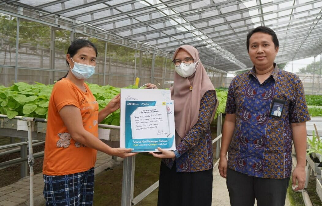 Manfaatkan Penambahan Daya PLN, Produkvitas UMKM Hidroponik di Tangerang Naik 100 Persen