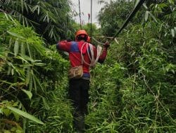 PLN Berhasil Pulihkan 100% Kelistrikan Terdampak Gempa Cianjur, 326 Ribu Pelanggan Kembali Menyala