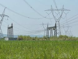 PLN Rampungkan Transmisi Listrik 150 kV Jatigedong-Ngimbang di Lamongan, TDKN Capai 73,88 Persen