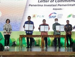 Sri Mulyani: Pemerintah Terus Dukung PLN Listriki Daerah 3T Lewat PMN