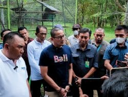 Menparekraf: Pelestarian Curik Bali Salah Satu Potensi Pariwisata yang Kuat di Bali Barat