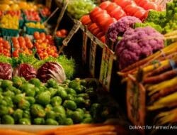 Pasar Makanan Berbasis Nabati Diperkirakan Tumbuh Lebih dari 2X Lipat di 2028