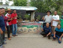 Perkuat Soliditas Sesama Pecinta Bonsai di Rokan Hulu, Angkringan Komunitas Bonsai Pajang Tanaman Bonsai