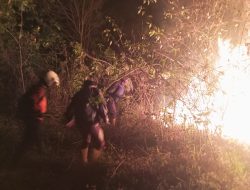 Satu Hektare Lahan Lereng Gunung Merbabu Terbakar, Api Berhasil Dijinakkan dalam Waktu 85 Menit
