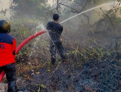 Tim Gabungan Terus Berupaya Kendalikan Kabut Asap di Kota Banjarmasin