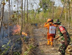 Lahan Terbakar Seluas Sembilan Hektar di Sragen Berhasil Dipadamkan