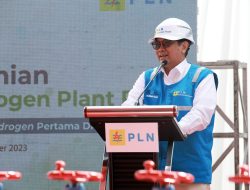 Terbanyak di Asia Tenggara! PLN Resmikan 21 Unit Green Hydrogen Plant, Mampu Produksi Hingga 199 Ton Hidrogen Per Tahun