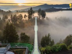 Ikon Pariwisata Baru, Jembatan Kaca dan Terminal Seruni Point di Kawasan BTS (Bromo Tengger Semeru)