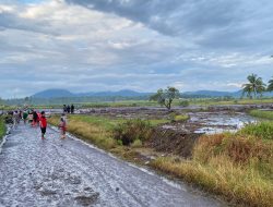 Sebanyak 15 Korban Meninggal Dievakuasi Pascabanjir Bandang Agam