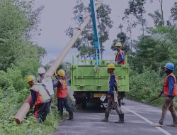 Bangun Jaringan Baru, PLN Berhasil Tembus 4 Desa di Pelosok NTT dengan Listrik 24 Jam