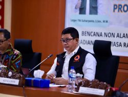 Kepala BNPB Targetkan Desember 2024 Nusa Tenggara Timur Bebas Rabies