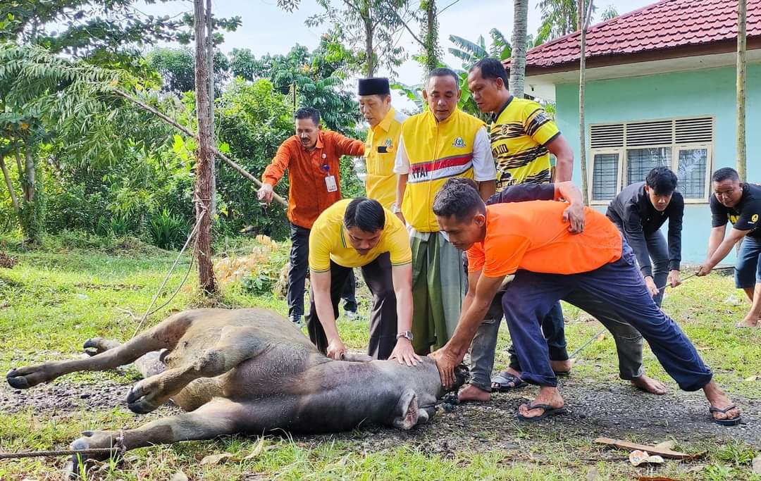 Hari Raya Idul Adha