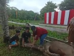 Pagi ini, Pj Bupati Kampar Bakal Resmikan BLK dan Buka Pelatihan BKA 1