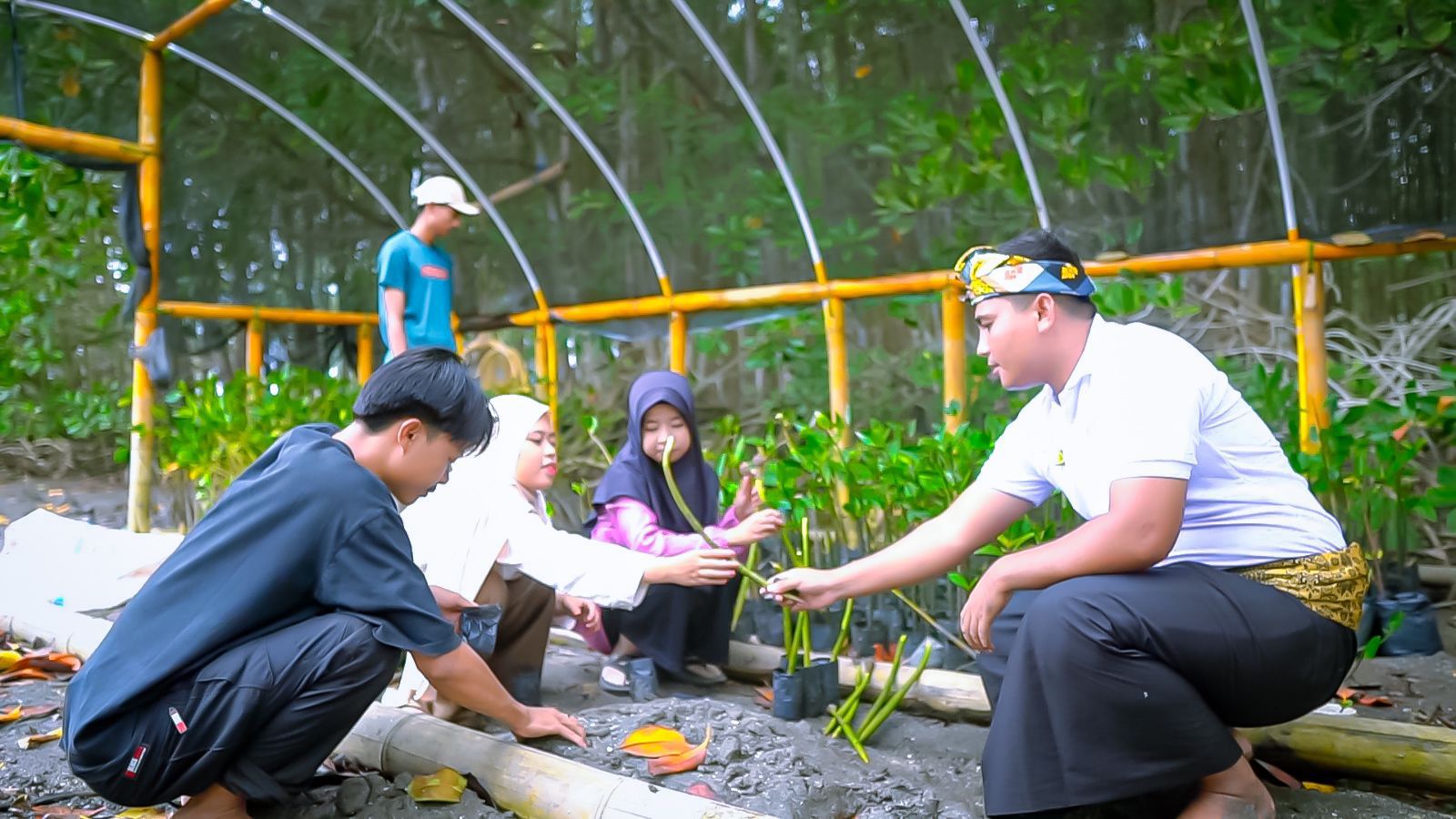 Ekowisata Hutan Mangrove