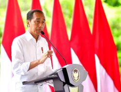 Presiden Jokowi Apresiasi TNI-Polri Atas Kebebasan Pilot Susi Air