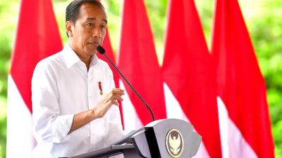 Presiden Jokowi Apresiasi TNI-Polri Atas Kebebasan Pilot Susi Air