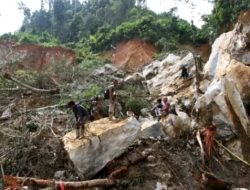 Longsor Tambang Ilegal Solok, 15 Meninggal Dunia