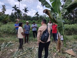 Dugaan Perampokan di Tanjung Bungo, Polsek Tambang Langsung Turun TKP