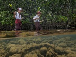 Menteri LH: Hasil Diplomasi Iklim Delegasi Indonesia di COP29 Azerbaijan Harus Konkret Dirasakan Masyarakat