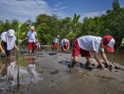 PLN Dorong Ekowisata Lewat Penanaman 15.000 Mangrove di Batas Kota Bima