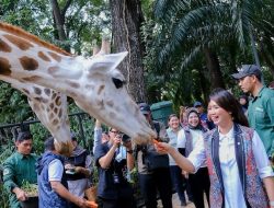 Wamenpar Pastikan Taman Margasatwa Ragunan Beri Layanan Prima Saat Libur Nataru