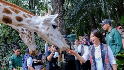 Wamenpar Pastikan Taman Margasatwa Ragunan Beri Layanan Prima Saat Libur Nataru