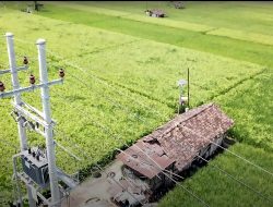 Dukung Tranformasi Pertanian Modern, Electrifying Agriculture PLN Raih 53.539 Pelanggan Baru di Tahun 2024