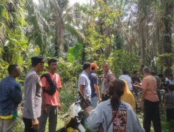 Terima Informasi Penemuan Mayat dari Masyarakat, Polsek Ujungbatu Bergegas Cek TKP