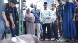 Bupati, Wabup Beserta Keluarga Saksikan Pemotongan Hewan Kurban Presiden RI dan Pemda Kampar di Islamic Centre Bangkinang