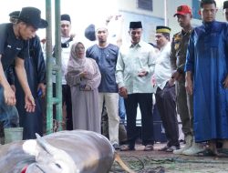 Bupati, Wabup Beserta Keluarga Saksikan Pemotongan Hewan Kurban Presiden RI dan Pemda Kampar di Islamic Centre Bangkinang