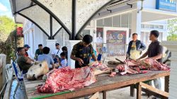 Berkah Idul Adha 1446 H, PWI Kampar Sembelih Hewan Qurban