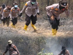 Polwan Polres Rohul Bersama Tim Pemadam Kebakaran Beraksi Heroik Padamkan Karhutla di Sialang Jaya