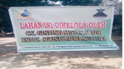 Warga Kota Lama Rohul Resah, Sekelompok Orang Atasnamakan KSO PT Agrinas Palma Nusantara Tiba-Tiba Panen Sawit Milik Warga