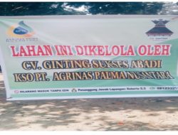 Warga Kota Lama Rohul Resah, Sekelompok Orang Atasnamakan KSO PT Agrinas Palma Nusantara Tiba-Tiba Panen Sawit Milik Warga