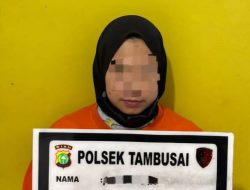 Sempat Buron, Pelaku Penggelapan Mobil dan Uang Bernilai Ratusan Juta Berhasil Diringkus Unit Reskrim Polsek Tambusai