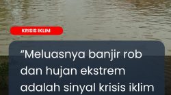 Krisis Iklim Pesisir Gambut Inhil Menguji Ketahanan Ekonomi Rakyat dan Kebijakan Daerah