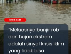 Krisis Iklim Pesisir Gambut Inhil Menguji Ketahanan Ekonomi Rakyat dan Kebijakan Daerah