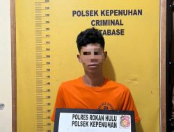 Tertangkap Basah Melangsir Sawit Curian, Residivis Diserahkan Warga ke Polsek Kepenuhan