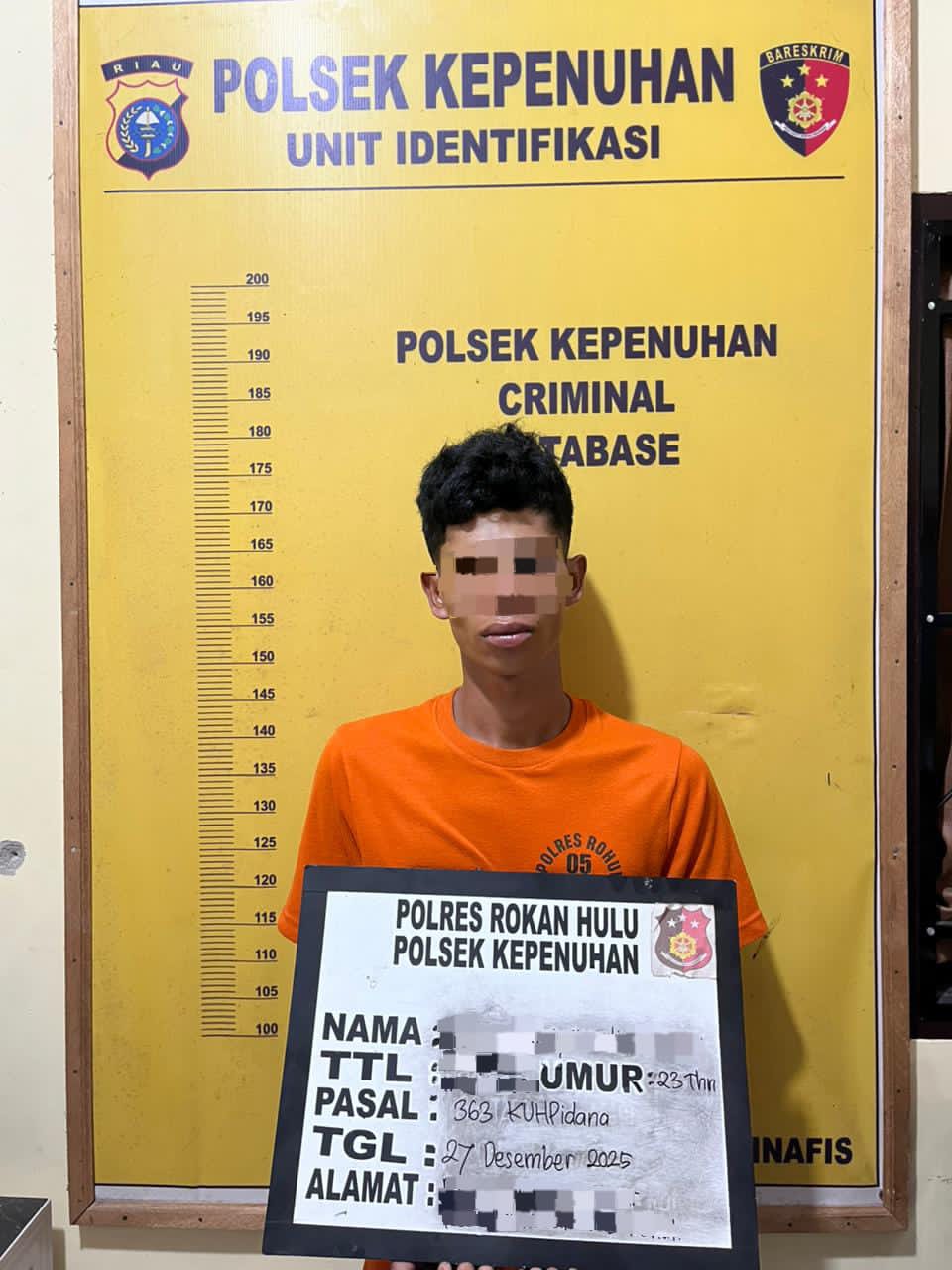 Pelaku Pencurian Sawit