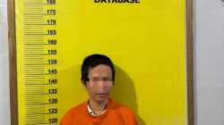 Seorang Wanita Pelaku Penganiayaan Badut di Simpang Ngaso, Diamankan Polsek Ujung Batu